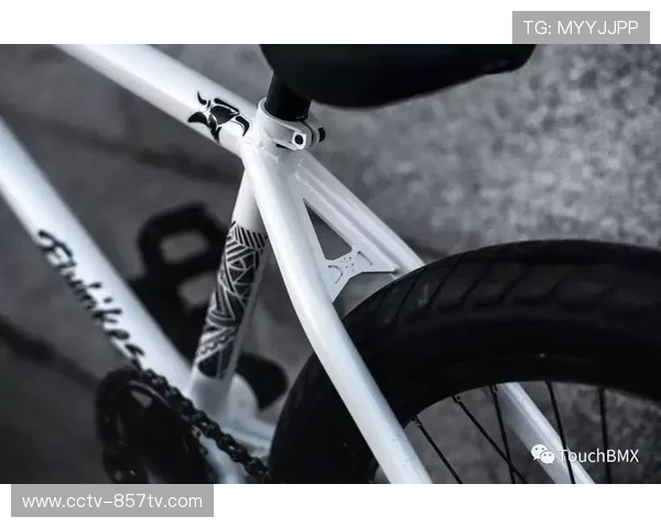 二手高端BMX车架交易平台获风投，反映市场细分需求增长