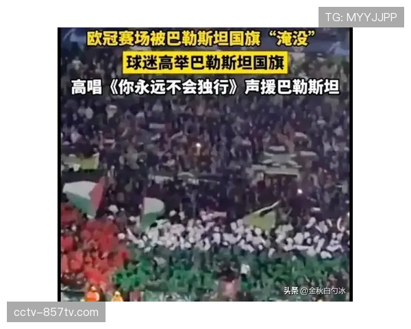 从资格赛到八强：凯尔特人队史欧冠最佳战绩的背后故事